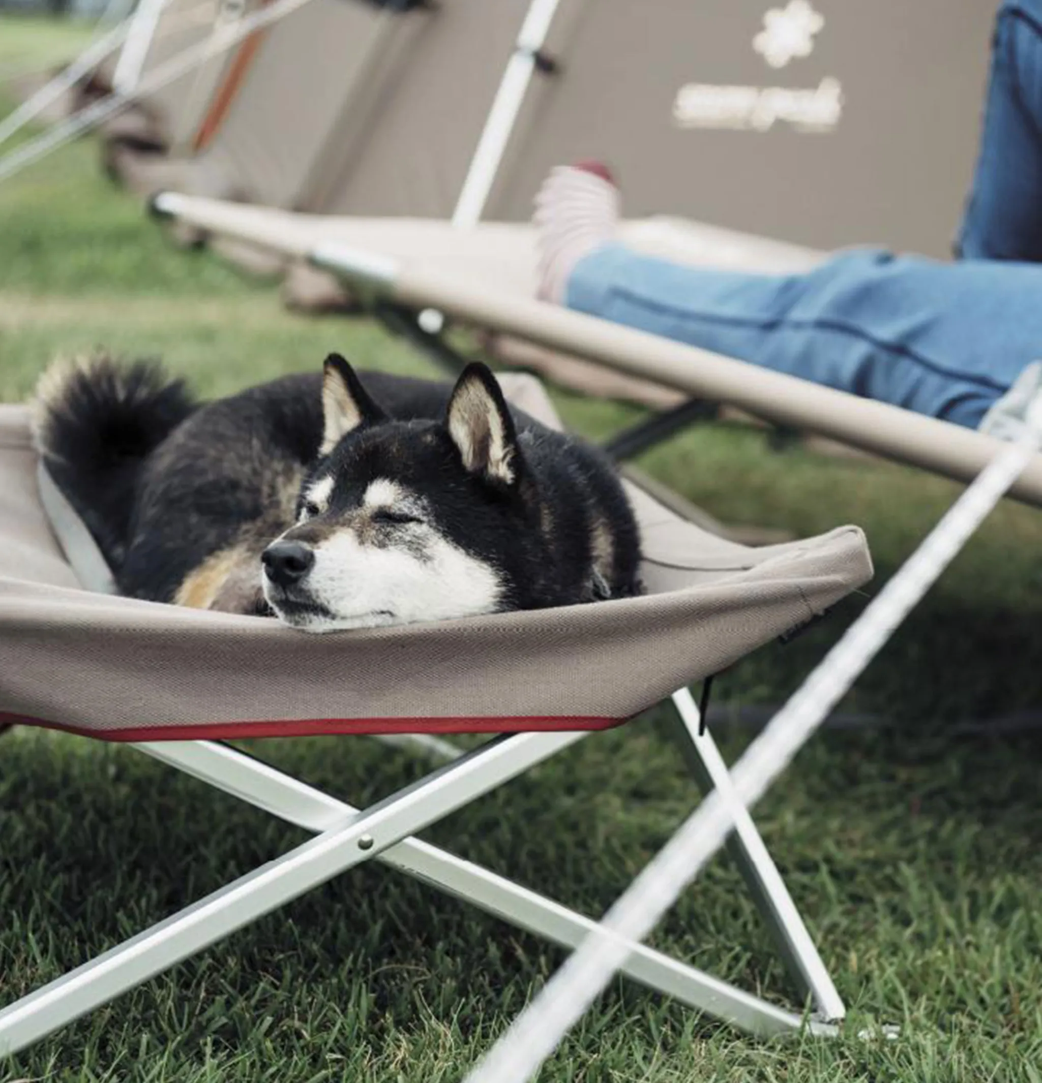 SNOW PEAK Dog Cot Grey< Maison|Outdoor