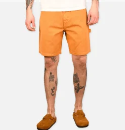 STAN RAY USA Painter Short Driftwood Duck< Shorts