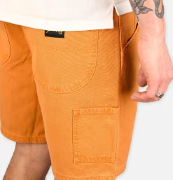 STAN RAY USA Painter Short Driftwood Duck< Shorts
