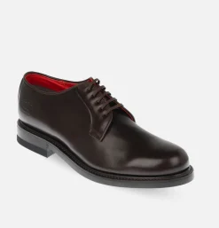REGAL SHOE & CO Plain-toe Brown Gore-tex<Homme Chaussures