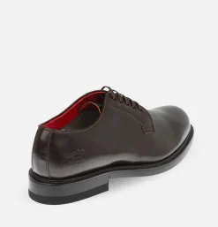 REGAL SHOE & CO Plain-toe Brown Gore-tex<Homme Chaussures