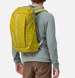 PATAGONIA ACCESSORIES Sac Black Hole Pack 25l SHRG< Sacs À Dos